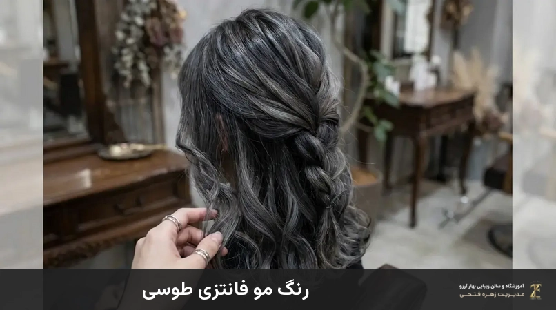 رنگ مو فانتزی طوسی