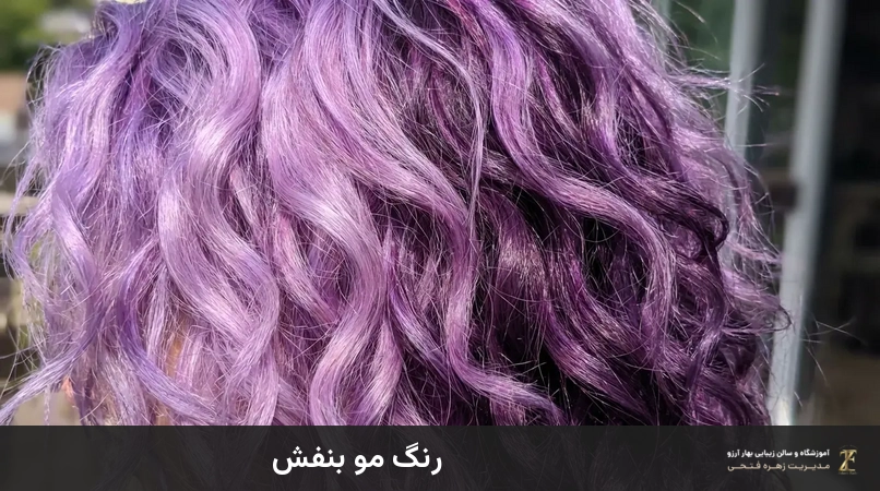 رنگ مو بنفش