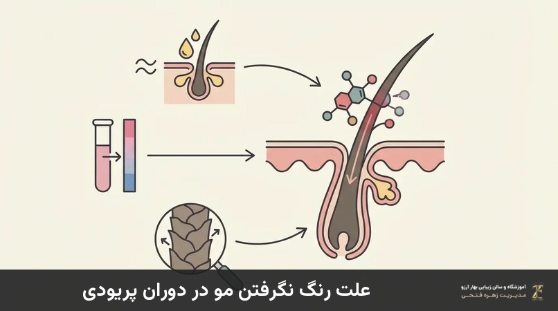 علت رنگ نگرفتن مو در دوران پریودی