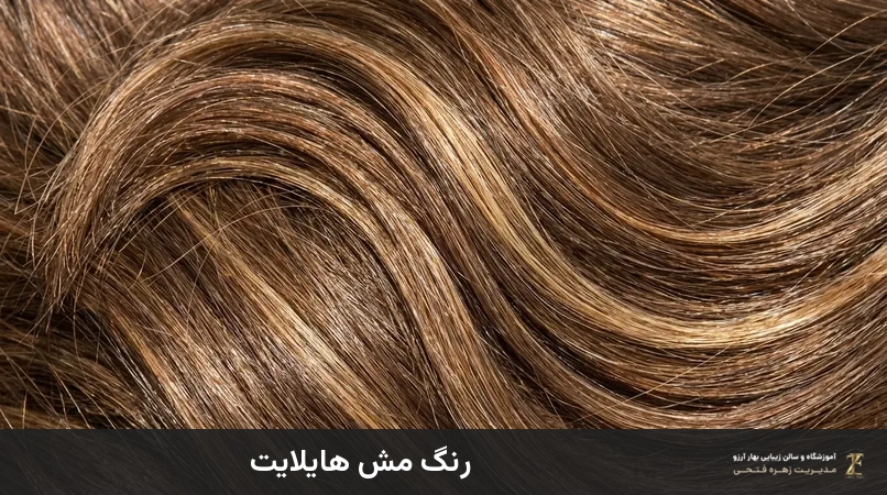 رنگ مش هایلایت