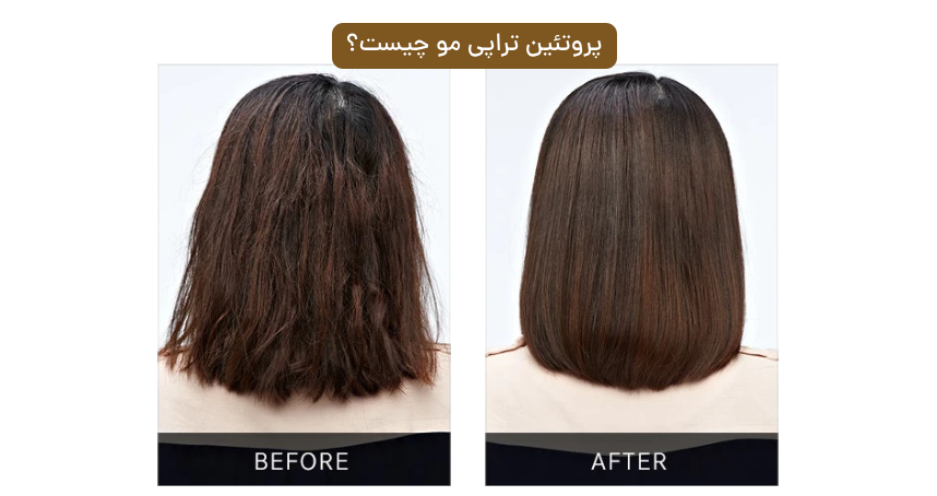 best hair protein therapy center in tehran 2